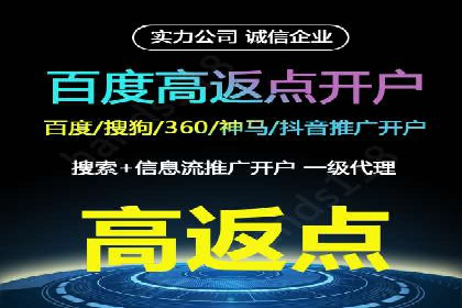 专业SEM托管：企业广告投放的明智之选